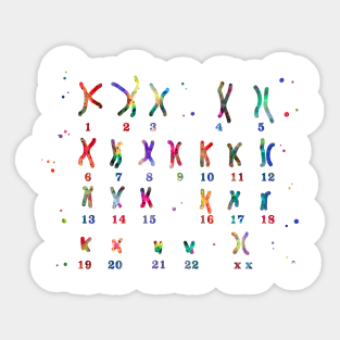 Female chromosome Sticker